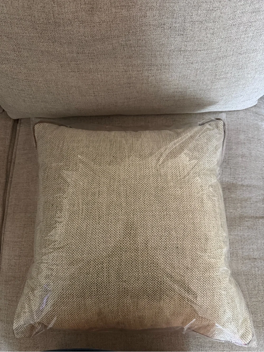 Magnolia Neutral Textured Pillow with Tan Piping